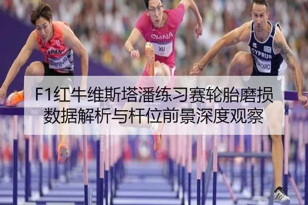 F1红牛维斯塔潘练习赛轮胎磨损数据解析与杆位前景深度观察