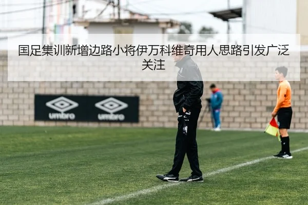 国足集训新增边路小将伊万科维奇用人思路引发广泛关注